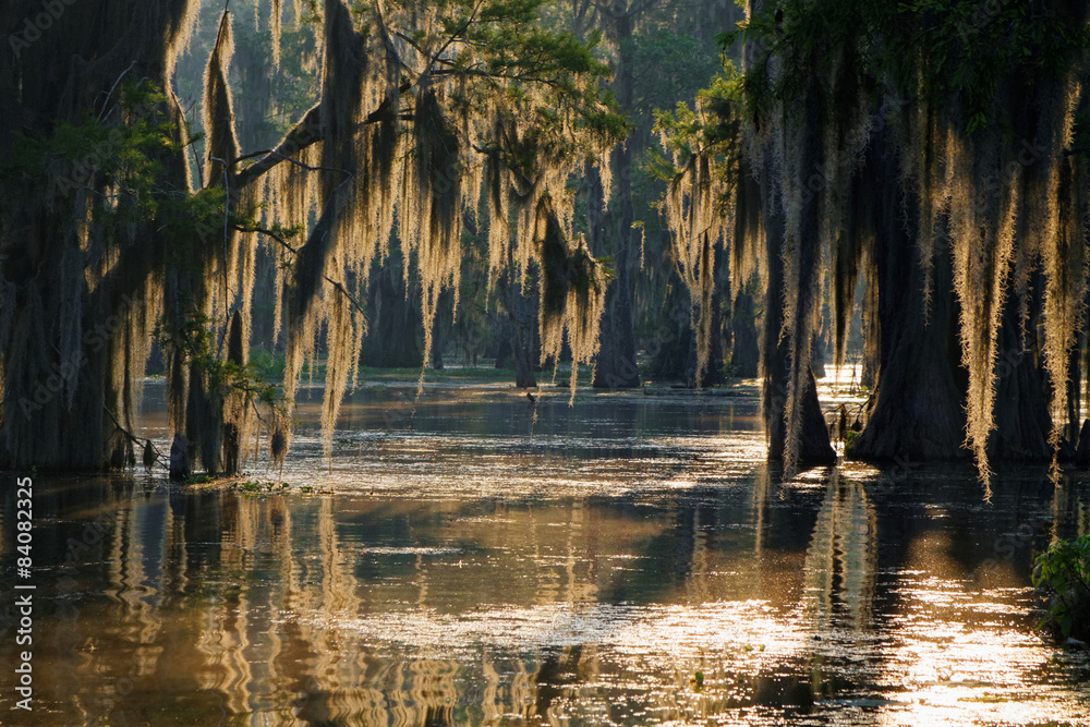 The Evolution of Boyd’s Bayou: Tracing Our Journey from Humble Origins to a True NOLA Culinary Landmark